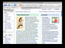 Screenshot des Browsers.