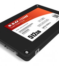 Solid-State-Drive